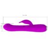 FUNÇÃO ROTATIVO DO VIBRADOR PRETTY LOVE Molly RECARREGÁVEL - Image 3