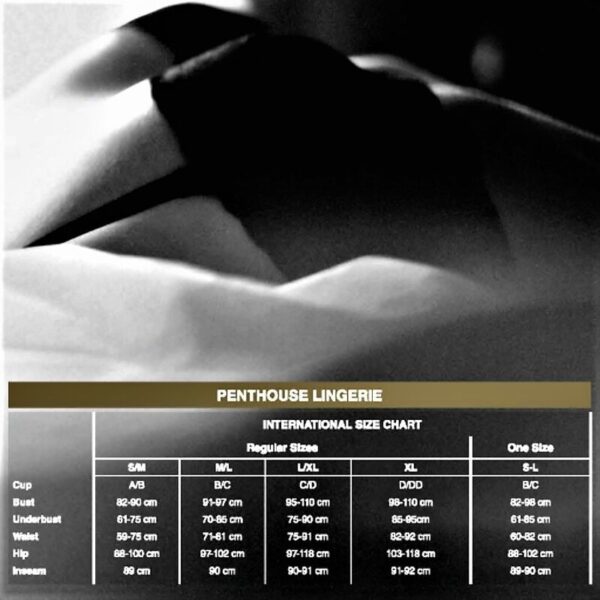 PENTHOUSE HIGH ON LOVE TEDDY XL - Image 3