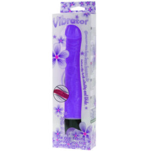 BAILE VIBRATOR MULTI-SPEED 21.5 CM PURPLE
