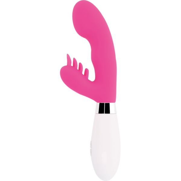 GLOSSY™ - COELHO ELVIS ROSA - Image 2