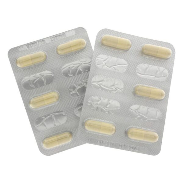 HOT - EXTREME LIBIDO CAPS FEMININO 10 PCS - Image 3