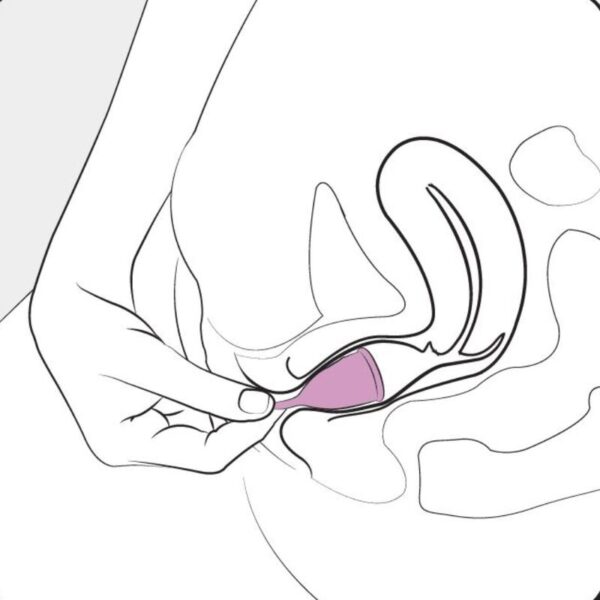 FEMINTIMATE - COPO MENSTRUAL DE SILICONE EVE TAMANHO S - Image 6